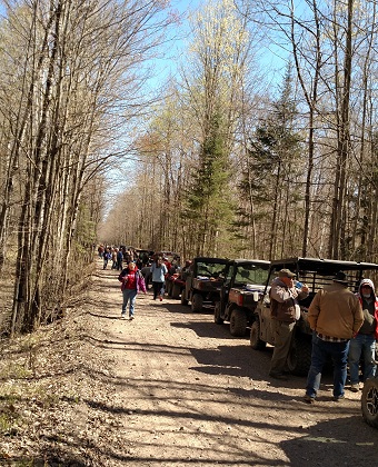 ATV parade in woods
