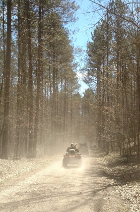 Riding ATV through woods